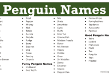 Penguin Names