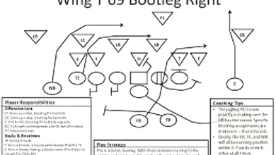 NFL Playbook