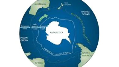 Southern Ocean